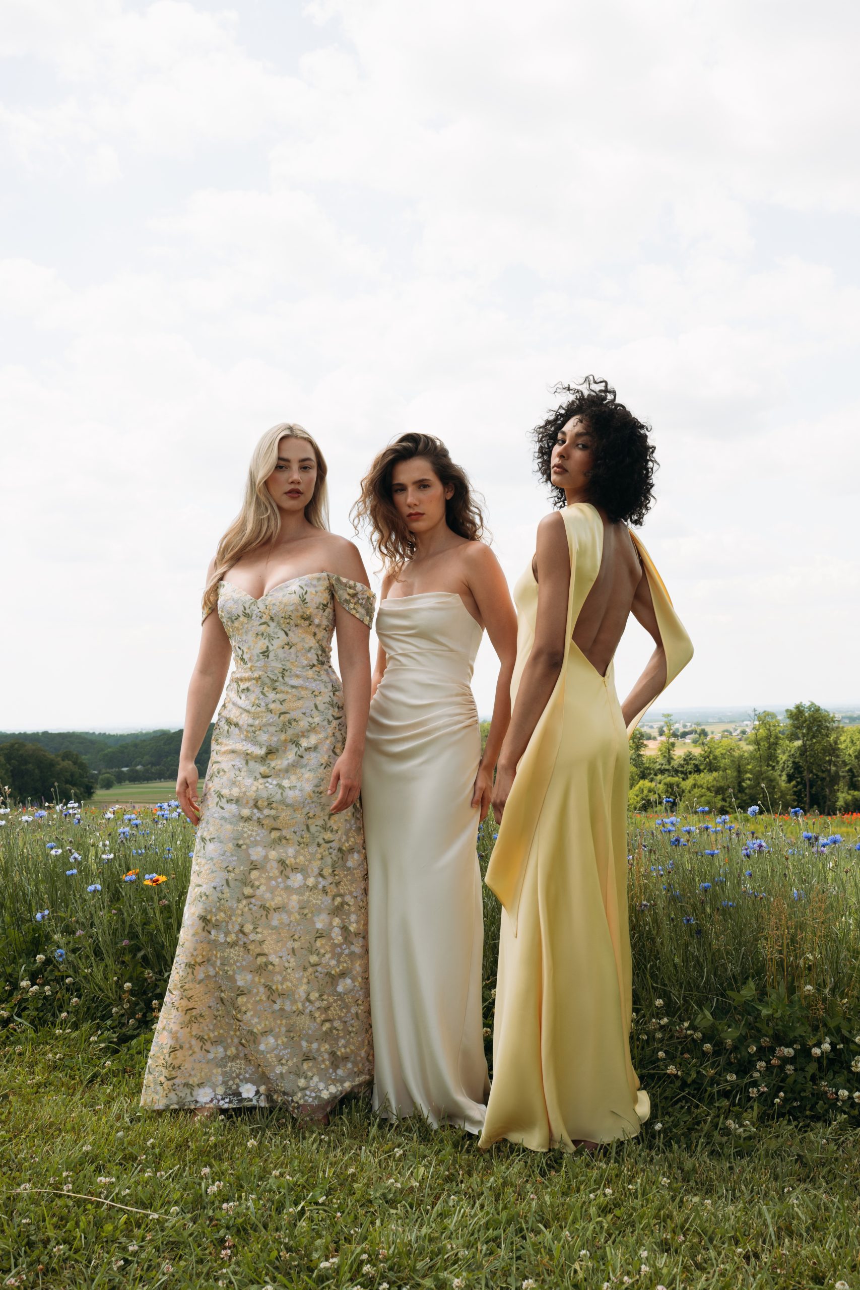 Yellow Group Dafodil Luna Buttercup Rosa Reina Ophelia 2413 Edited